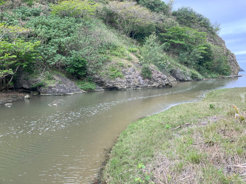 父島の川